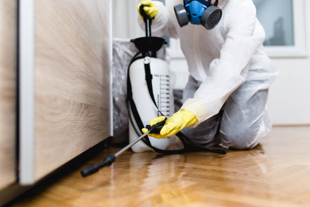 Best Pest Prevention Services  in Montrose, MN