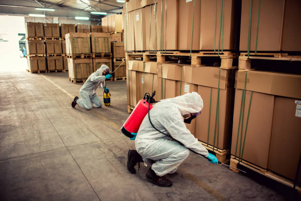 Best Flea Control Services  in Montrose, MN