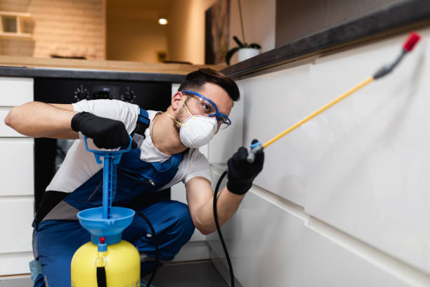 Best Exterminator Services  in Montrose, MN