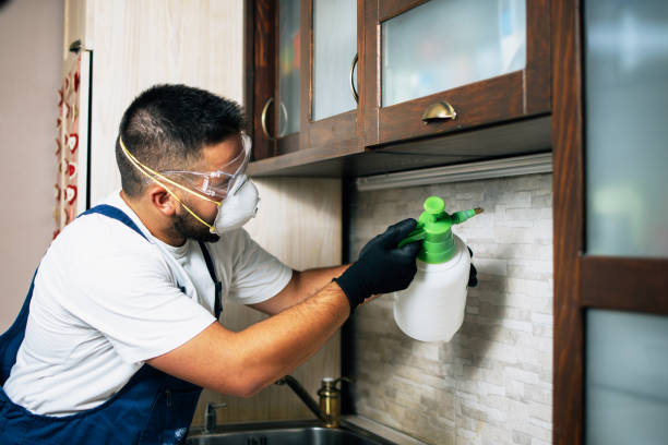 Best Exterminator Services  in Montrose, MN