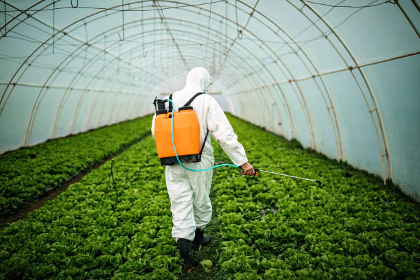 Best Pest Inspection Near Me  in Montrose, MN