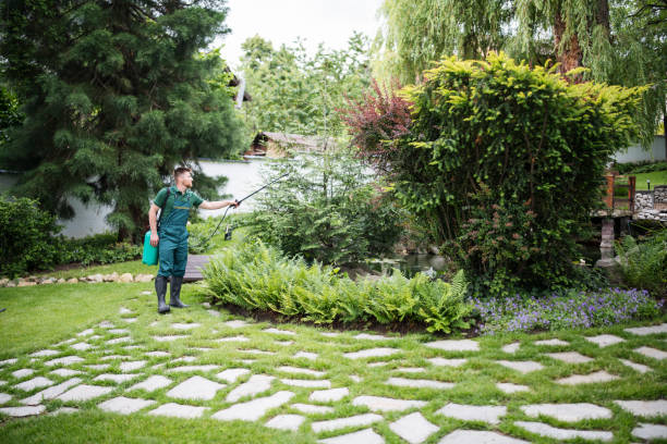 Pest Prevention Services in Montrose, MN