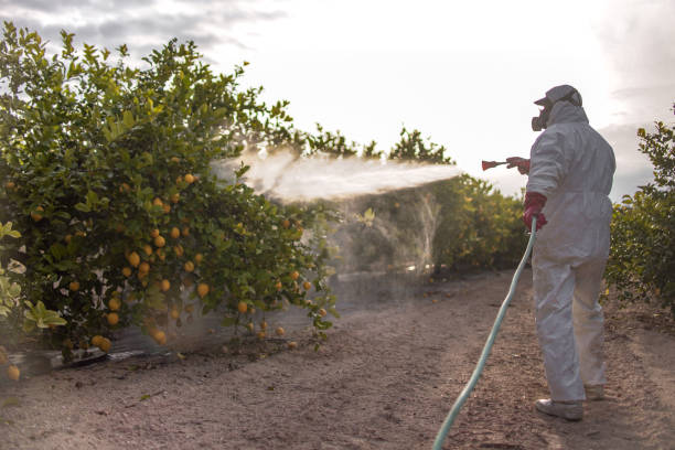 Best Cockroach Control Services  in Montrose, MN