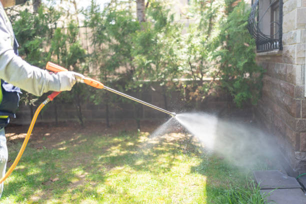 Best Termite Control Services  in Montrose, MN