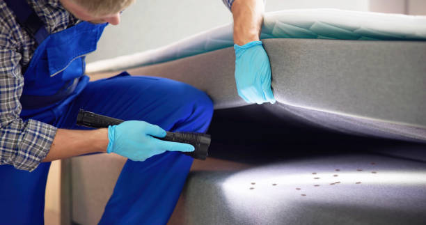Best Local Pest Control Services  in Montrose, MN