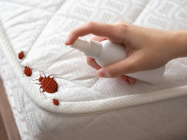 Best Emergency Pest Control  in Montrose, MN