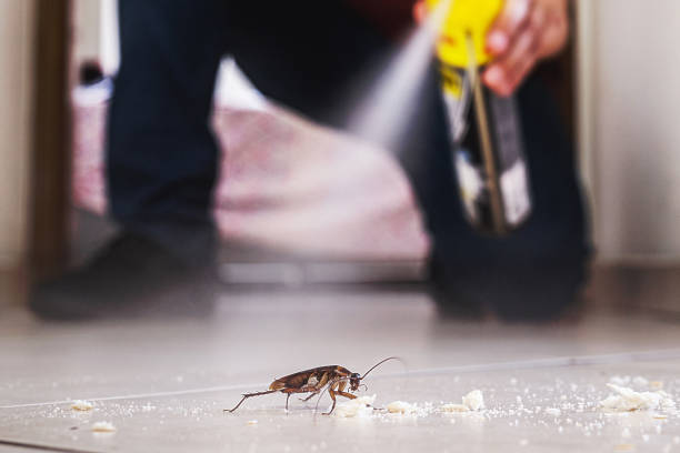 Professional Pest Control in Montrose, MN